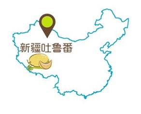 家乐福自有生鲜品牌哈密瓜甜蜜蜜上市