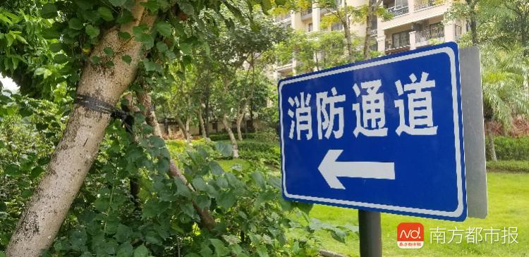 万科金色半山花园消防通道变绿地 业主:消防车根本走不了