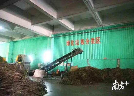 被台风“山竹”折断的树都去哪儿了?