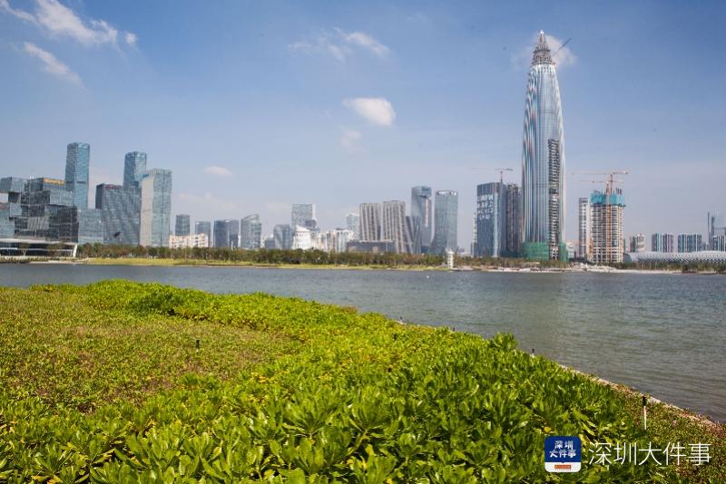 南山人才公园,风景如画.南都记者 霍健斌 摄