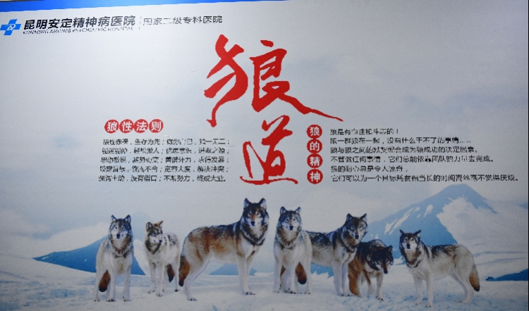 微信图片_20190426121513.jpg