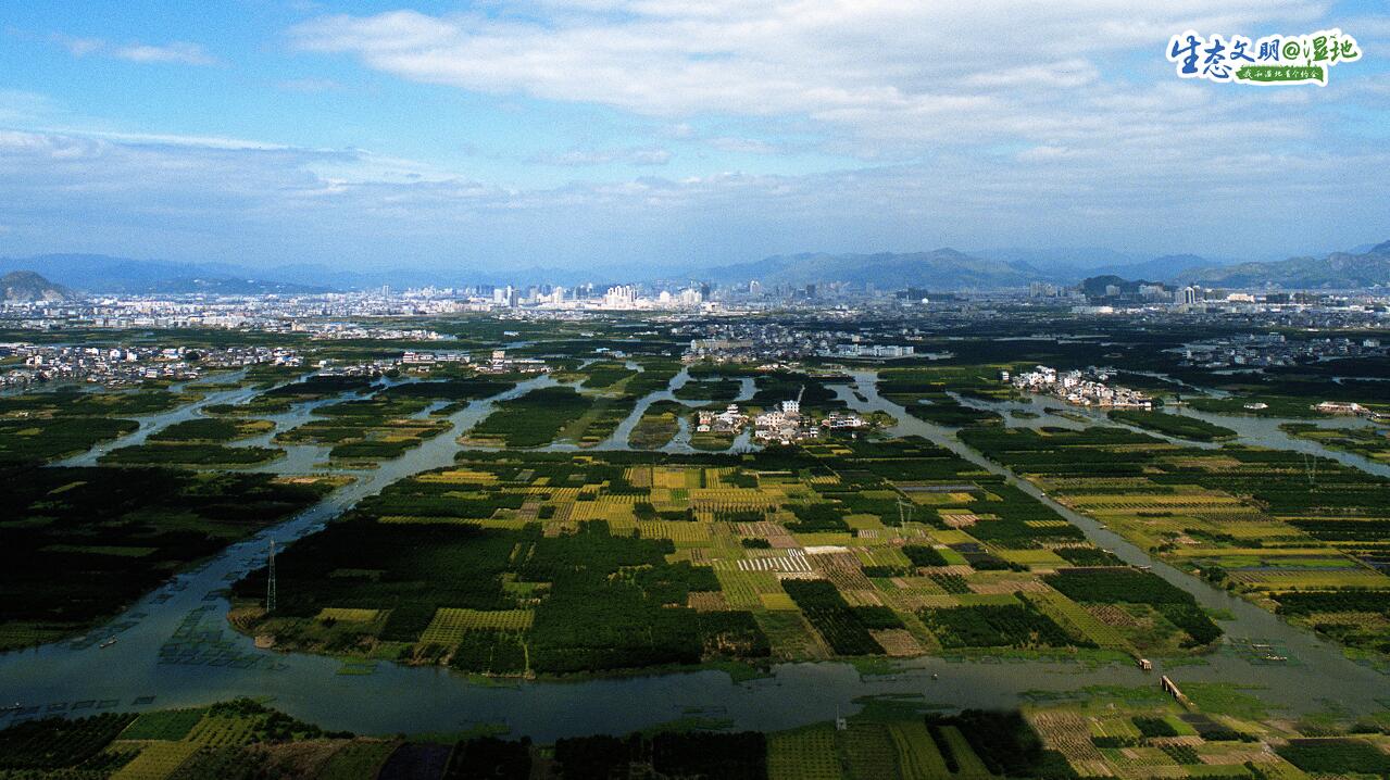 温州三垟湿地位于城市核心区,与塘河主河道自然串联,境内群岛星罗,河