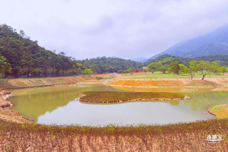盐田半山公园带就在附近的恩上湿地公园不过大家可能会忽略掉大家肯定