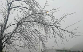 结冰！京珠北高速再次封闭！请司机绕行乐广高速