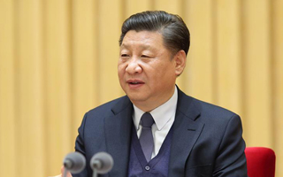 习近平就俄罗斯一架客机紧急迫降造成重大人员伤亡向俄罗斯总统普京致慰问电