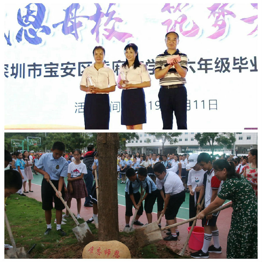 黄麻布学校举行2019届六年级毕业典礼