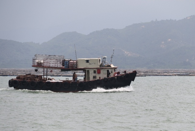 深圳休渔期结束渔船纷纷出海三无船只浑水摸鱼被抓