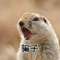 t01fe6b8c233dafbf9f