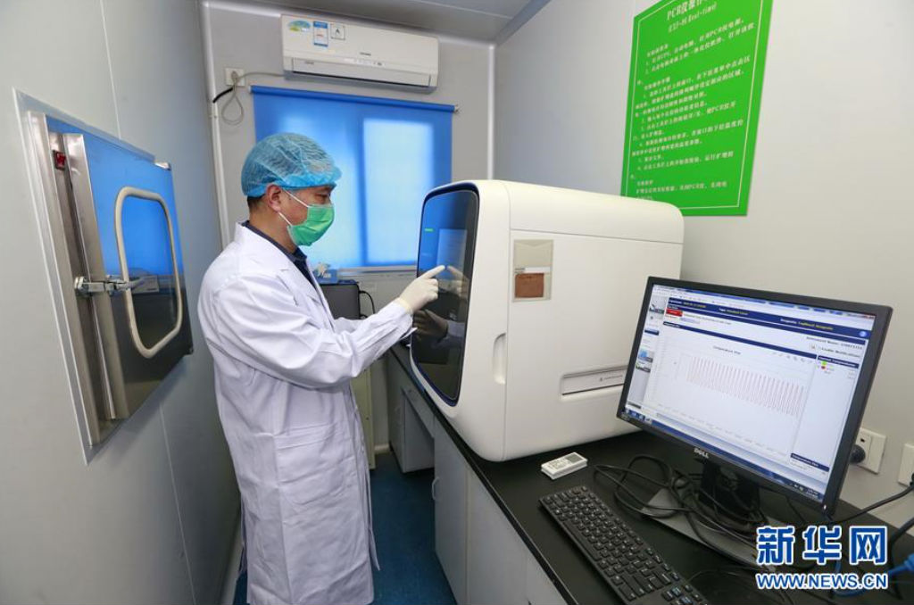 资料图:四川省遂宁市疾控中心检验科在监测新冠病毒核酸pcr扩增数据.