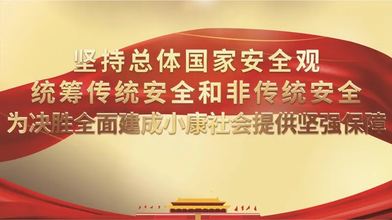 陈文清：总体国家安全观的生动实践和丰富发展