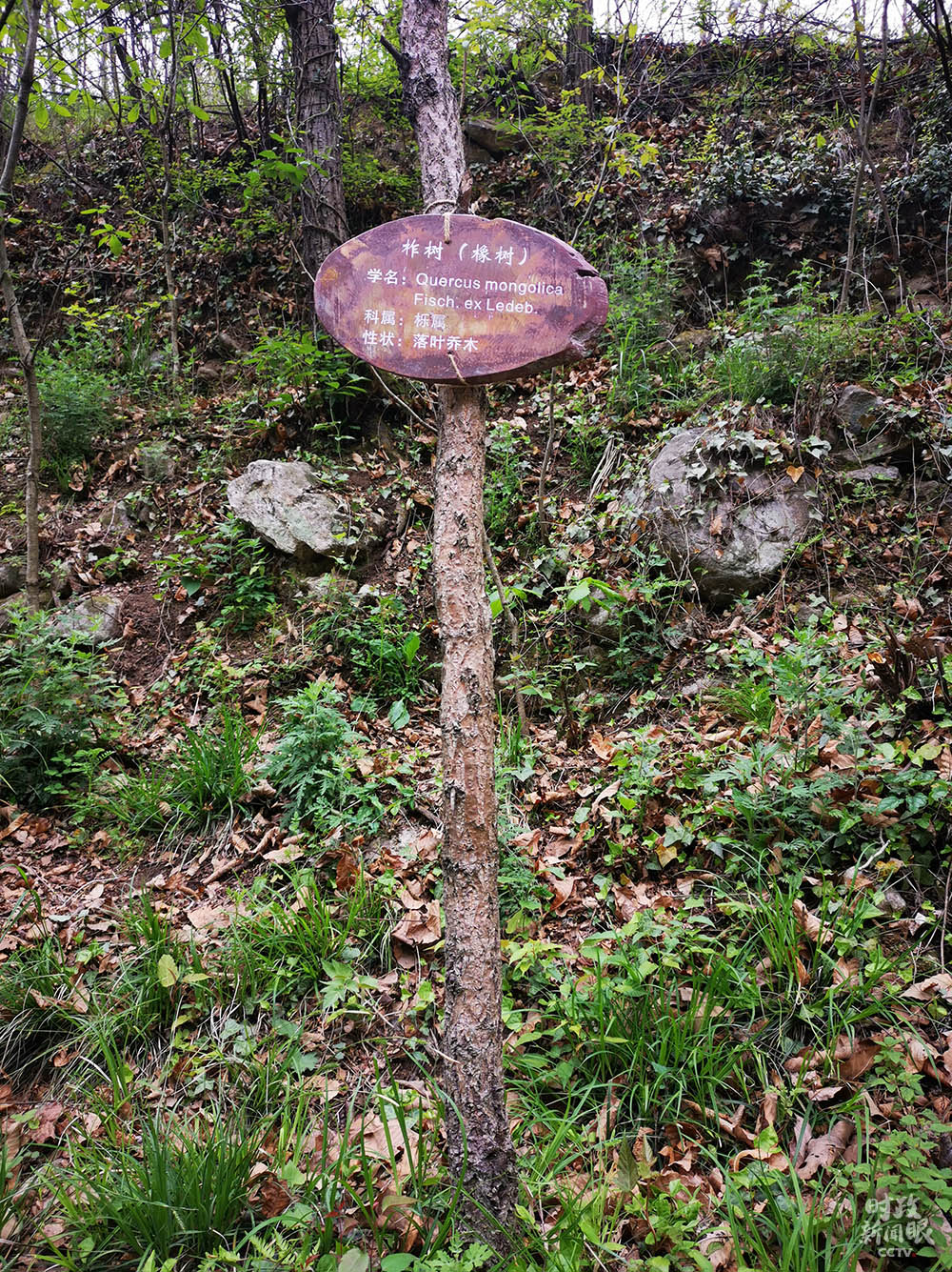e6b9709a37aa2e40.jpg