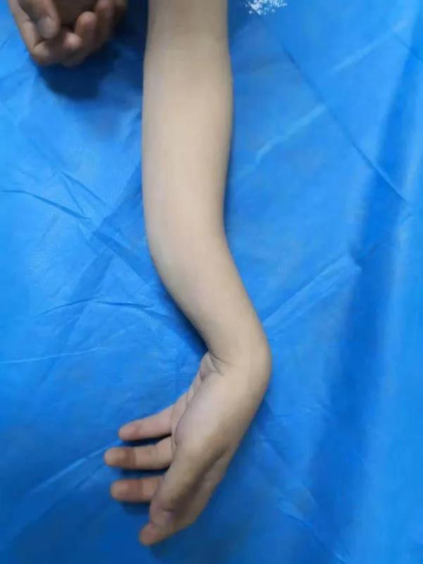 50241590993730.jpg