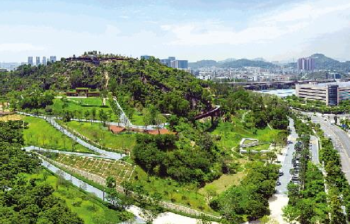 “荒山乱石”变清新公园 南山成网红公园集中地