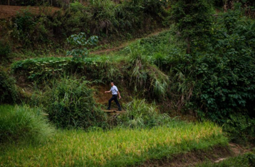 中信银行扶贫故事：“嫁”到木良村的男人
