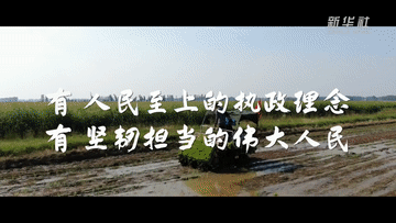 6e1b5c4cfc84854f.gif