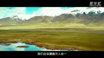 5ada16cf455e1244.gif