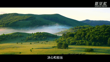 bdd795da69ea1054.gif