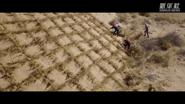 eec943b3d4f17644.gif