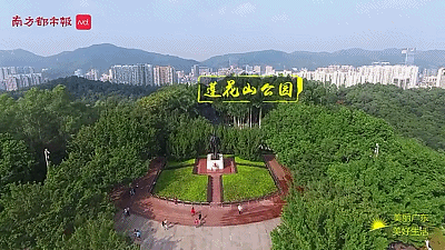 85651602665362.gif