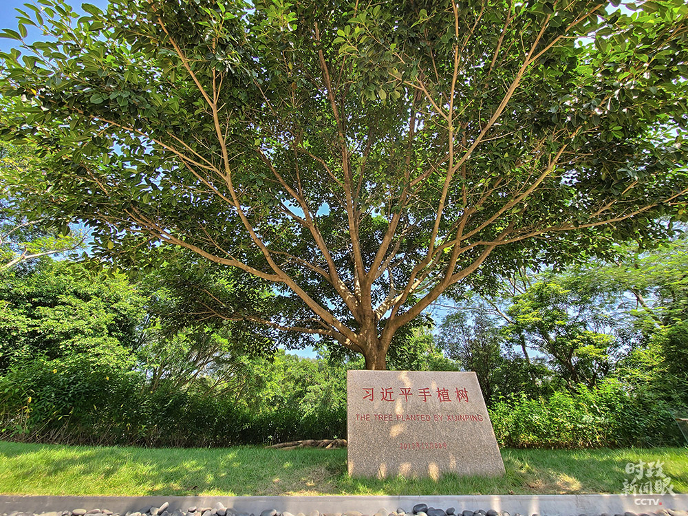 e531db43fec4cac2.jpg
