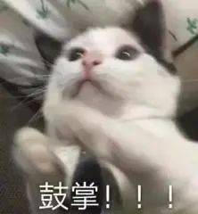 37121604537065.jpg