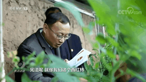 f36c28333430b7c7.gif
