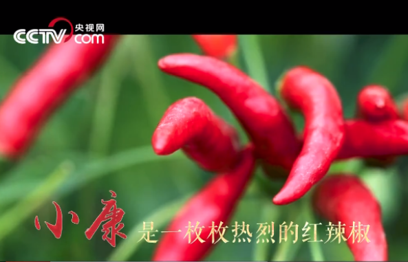 【人民记忆:百年百城】商丘奔小康