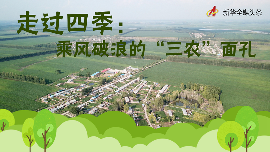 d2a0866a65ab4c20.jpg