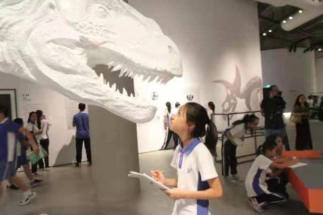中科研学——赴一场亿万年前的约会。学校供图