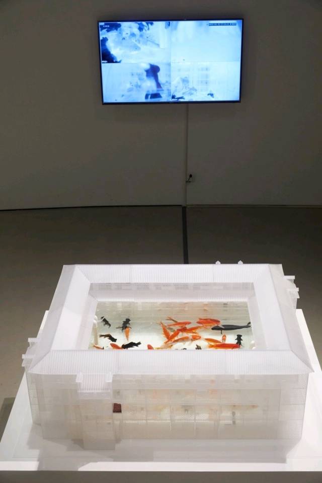 23081611712264.jpg
