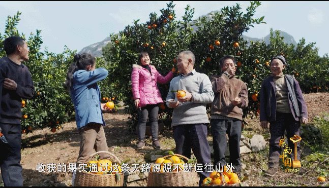 29f82275c88bdc6a.gif