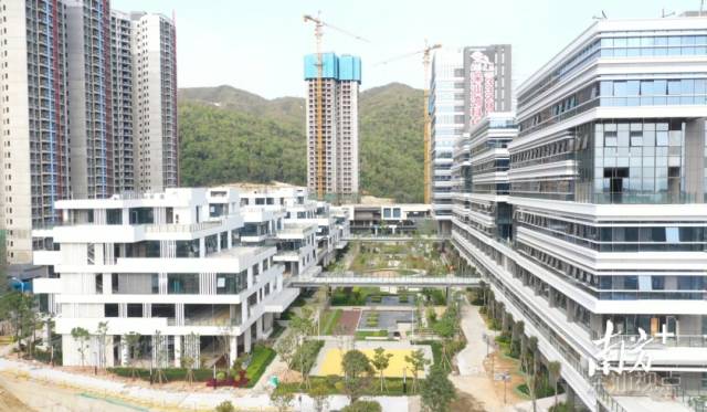 图为项目建设现场