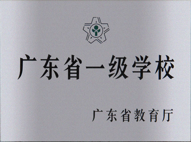 41331620956625.jpg