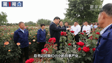 541524c2c28791b9.gif