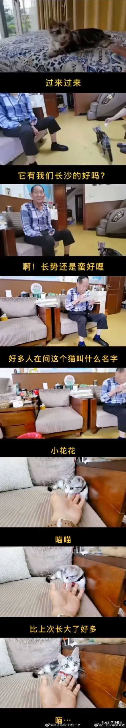 98861621785369.png