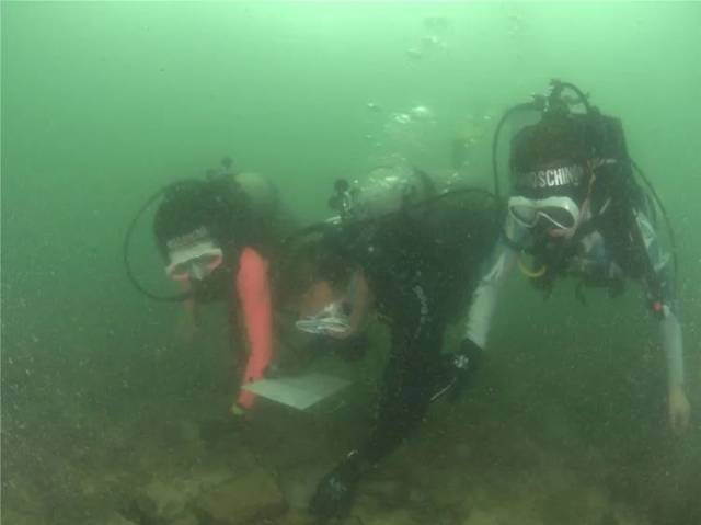 60c9506098bec.jpg