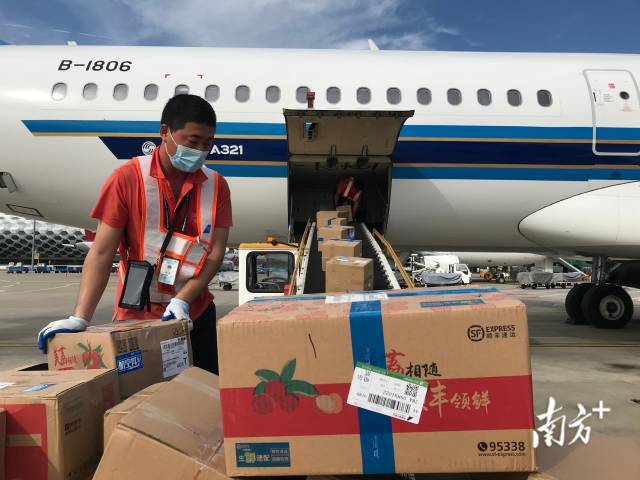 深圳日均运输荔枝50吨