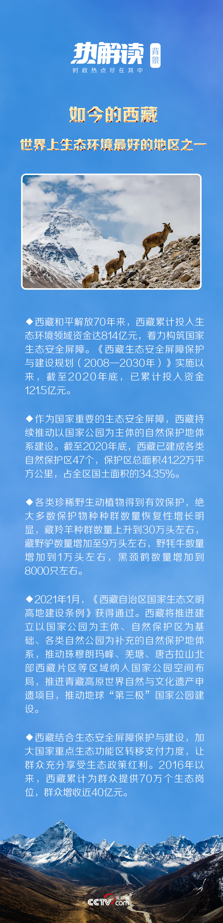 ca8b763512130aec.jpg
