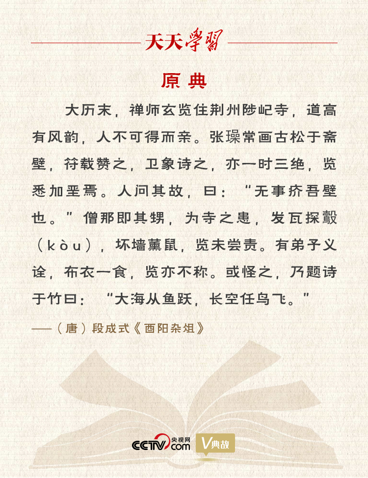 bdd217c1e2e5c981.jpg