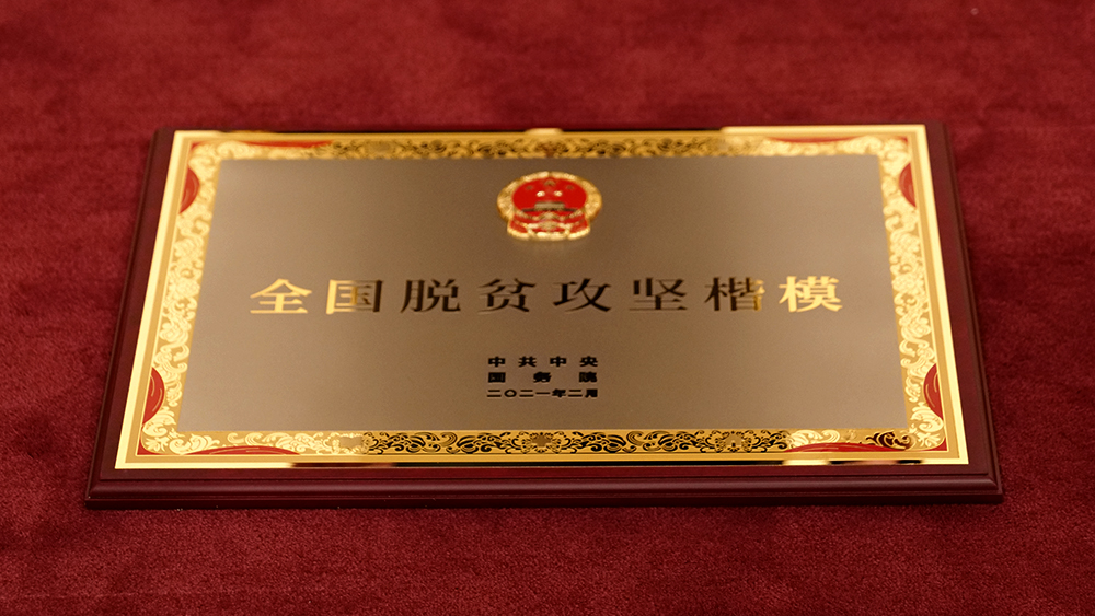 a482272cfeb0d135.jpg