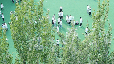 4db90c35483abe97.gif