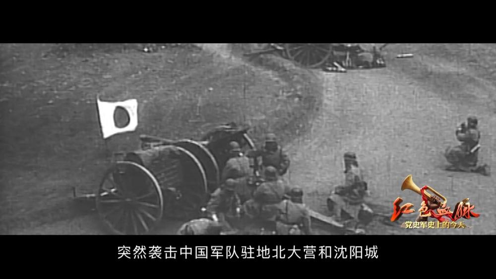 167f95c79e245321.jpg