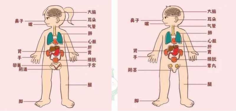 61504a5d3c96c.png