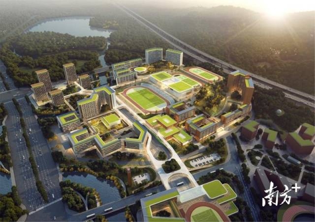 深圳最大高中园：4个月完成36公顷土地整备