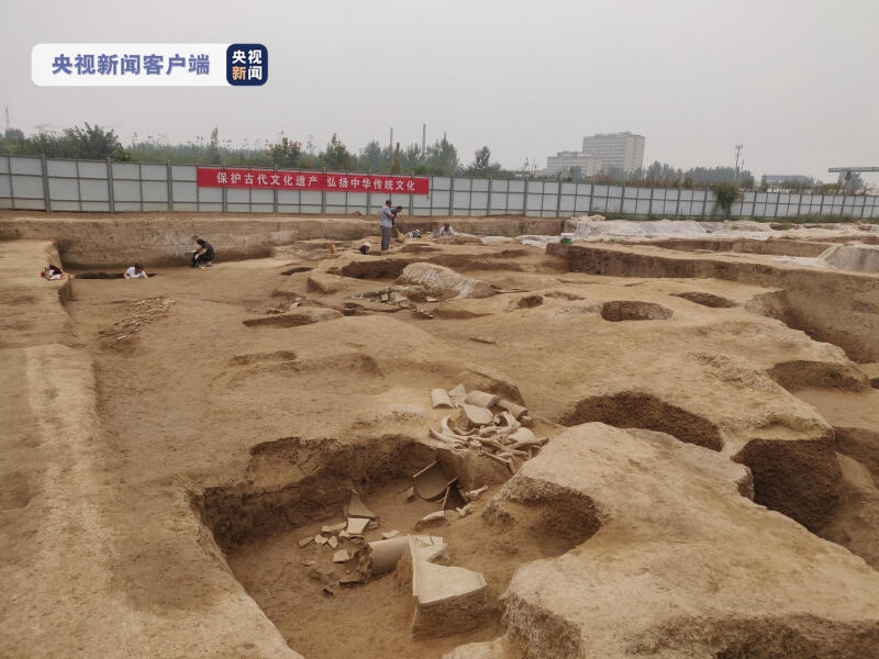 考古新发现！镐京遗址首次发现西周道路遗迹