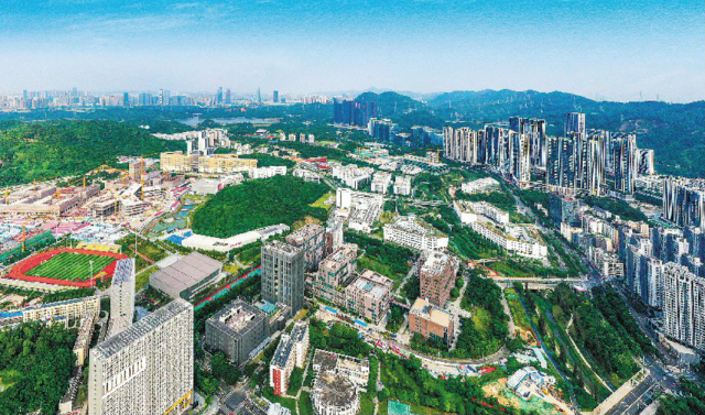 国家统计局：深圳12月二手房价一线城市中跌幅最大