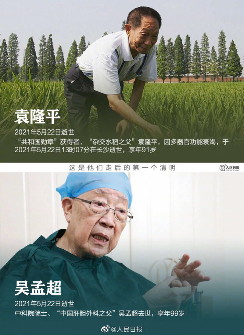 袁隆平人物传记800字小标题(袁隆平人物传记700字)