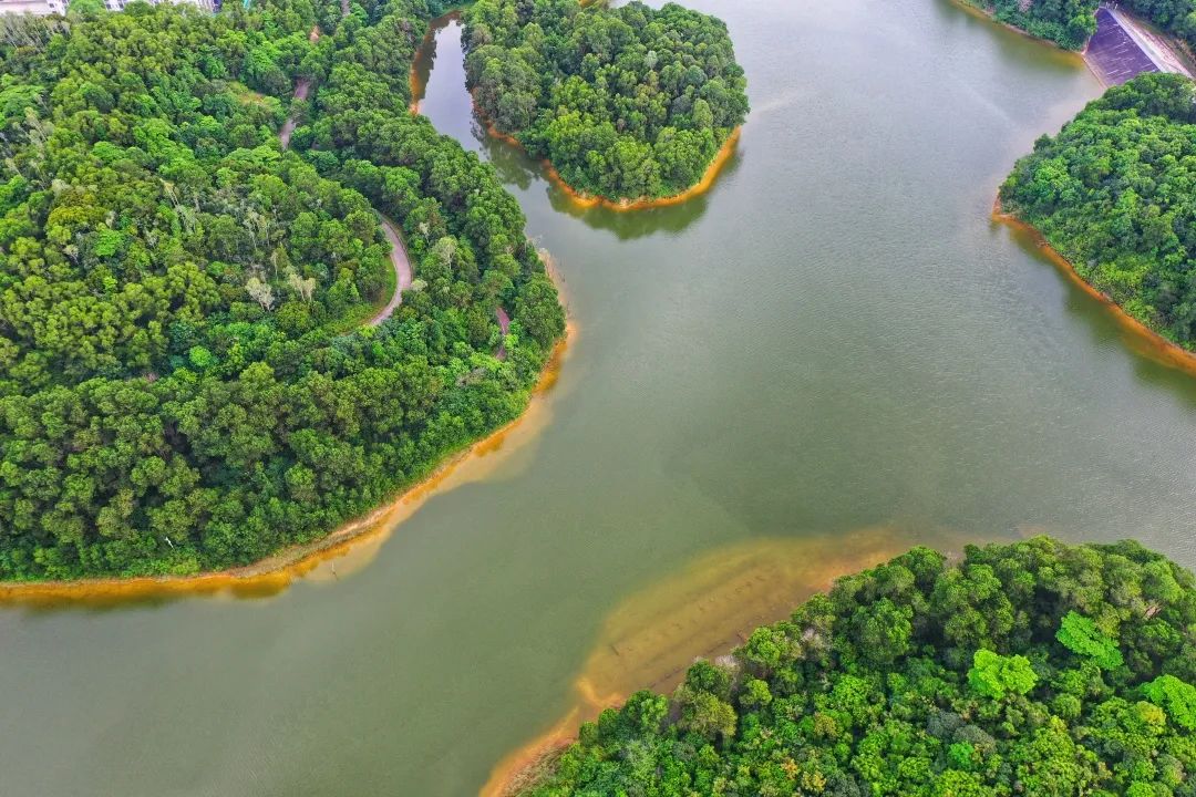 去逛逛大浪绿道吧~找个空闲时间不如炎炎夏日也很适合全家出游普及