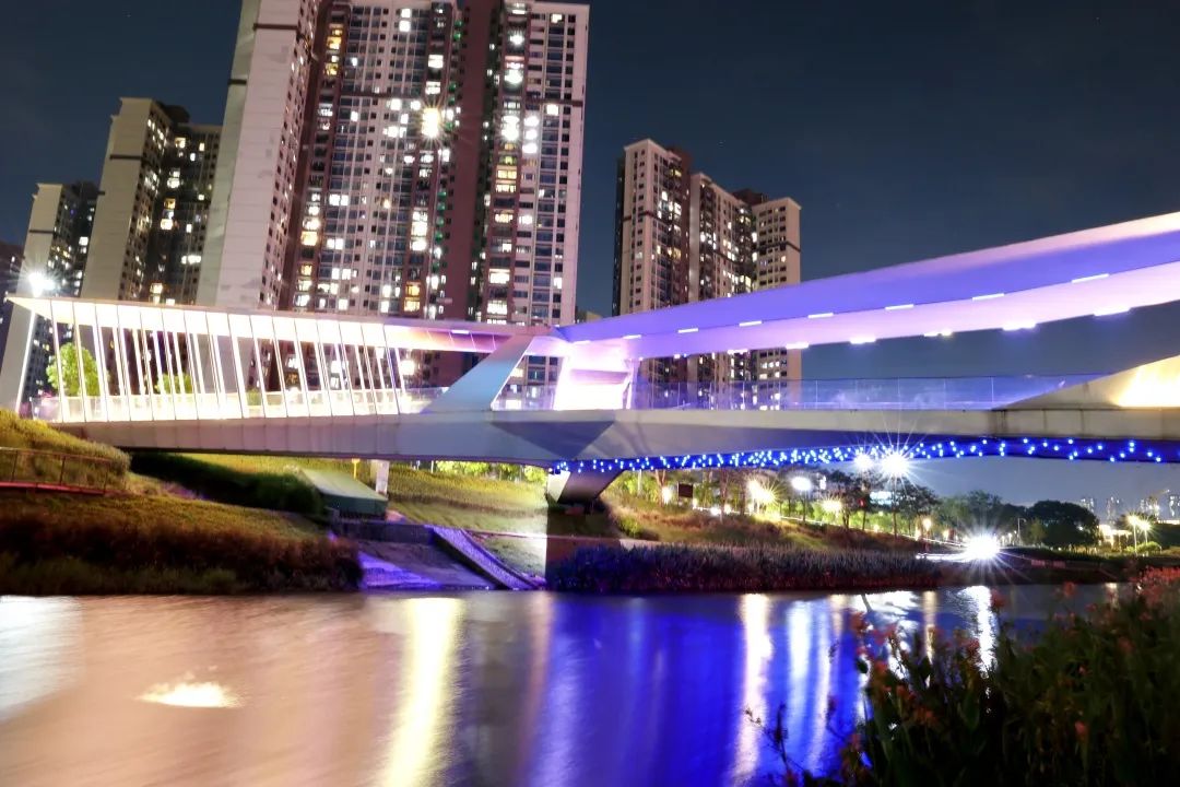 坪山的月·夜·美