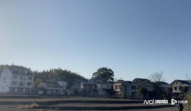 陈家寨村。